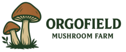 https://orgofield.com/